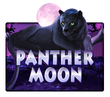 mega888 Panther Moon