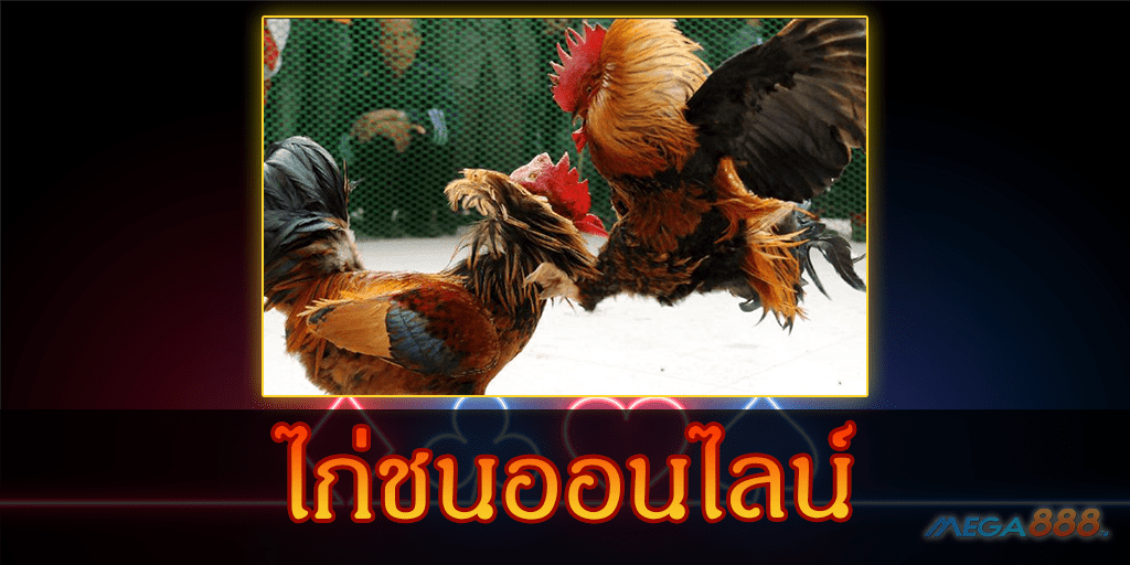 mega888-ไก่ชนออนไลน์