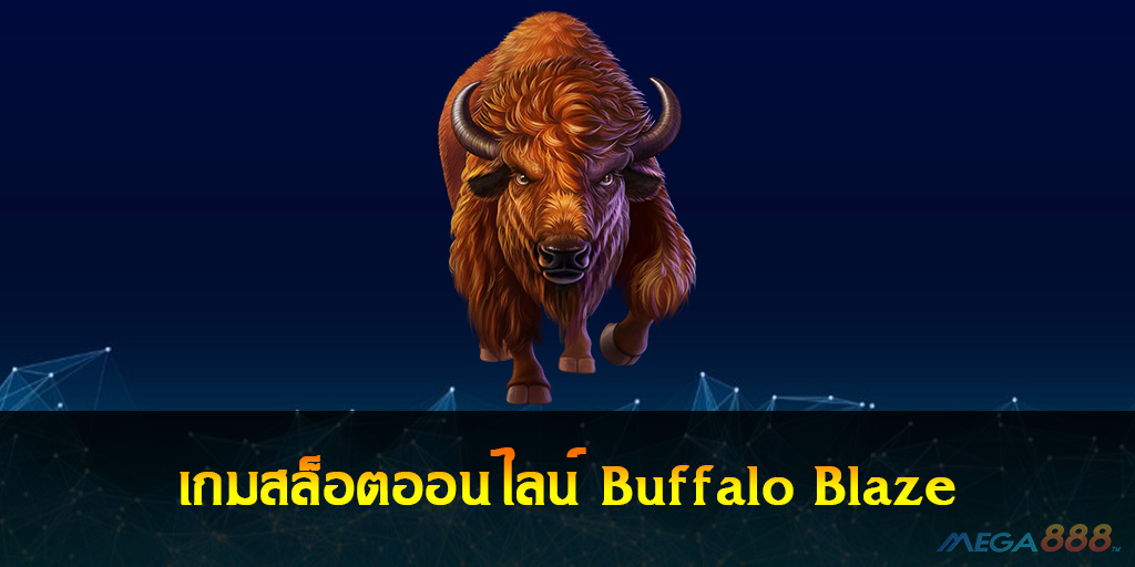 Buffalo Blaze