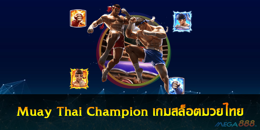 Muay Thai Champion