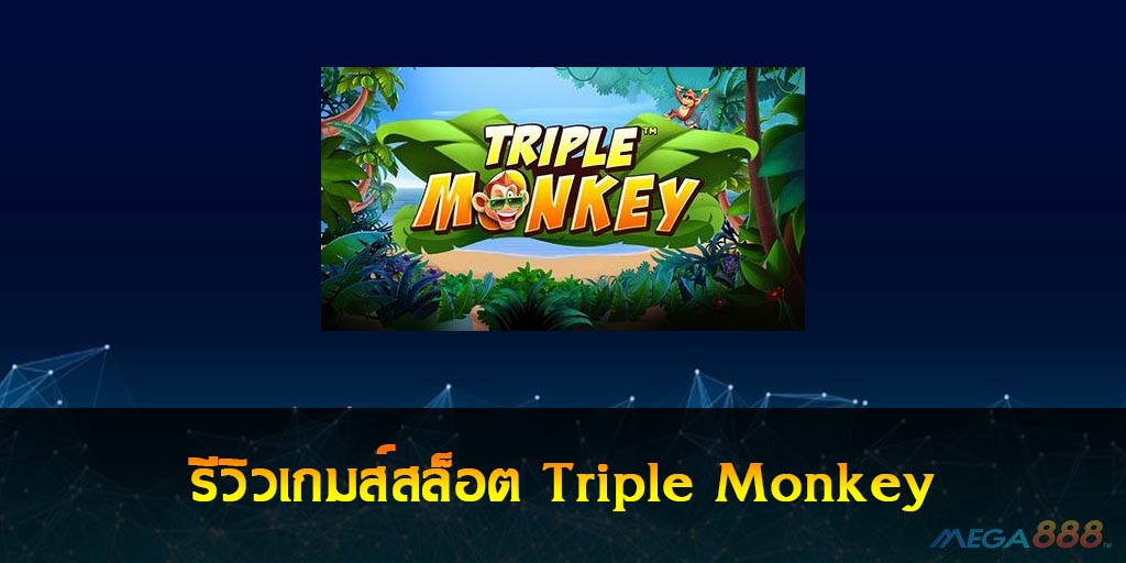 Triple Monkey