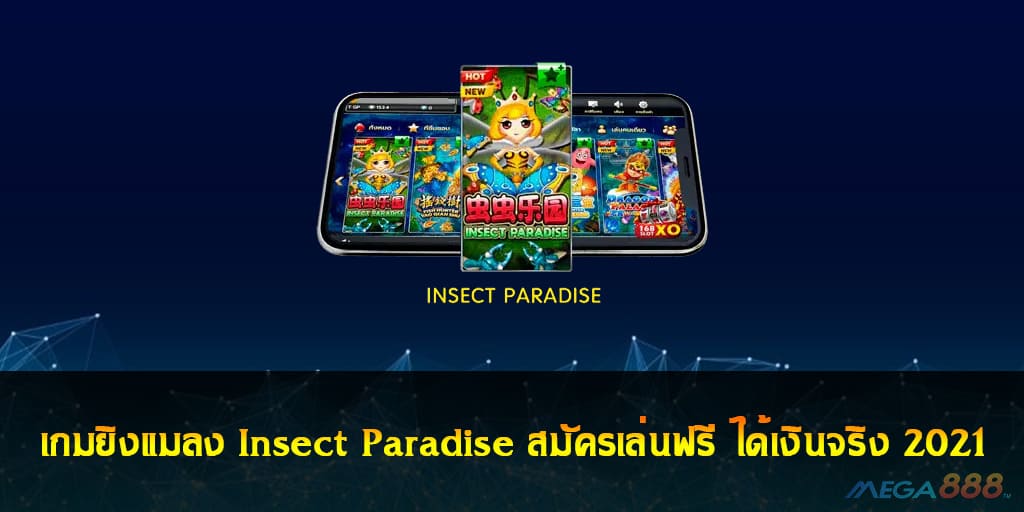 Insect Paradise